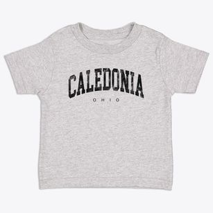Caledonia Ohio Urban Vibe Toddler T-Shirt