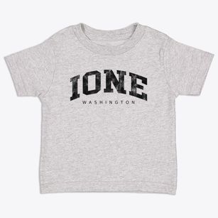 Ione Washington Urban Vibe Toddler T-Shirt