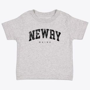 Newry Maine Urban Vibe Toddler T-Shirt
