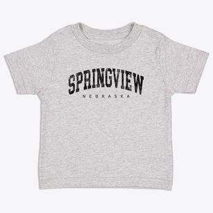 Springview Nebraska Urban Vibe Toddler T-Shirt