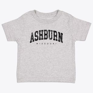 Ashburn Missouri Urban Vibe Toddler T-Shirt