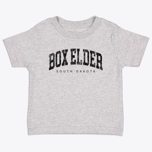 Box Elder South Dakota Urban Vibe Toddler T-Shirt