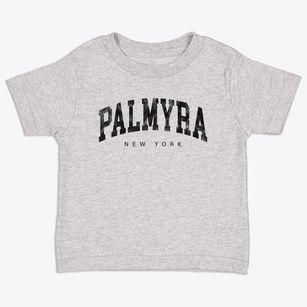 Palmyra New York Urban Vibe Toddler T-Shirt