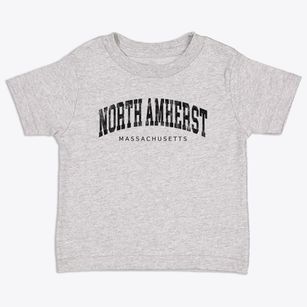 North Amherst Massachusetts Urban Vibe Toddler T-Shirt