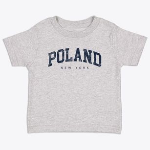 Poland New York Urban Vibe Toddler T-Shirt