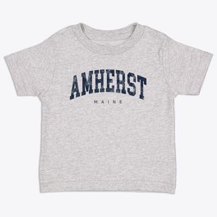 Amherst Maine Urban Vibe Toddler T-Shirt