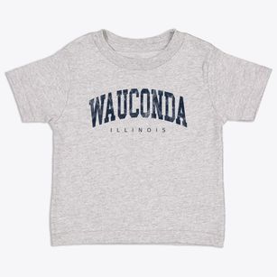 Wauconda Illinois Urban Vibe Toddler T-Shirt