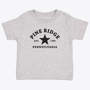 Pine Ridge Pennsylvania Star Toddler T-Shirt