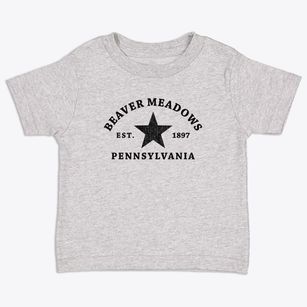 Beaver Meadows Pennsylvania Star Toddler T-Shirt