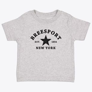 Breesport New York Star Toddler T-Shirt