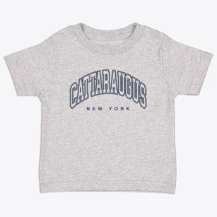 Cattaraugus New York Inline Toddler T-Shirt
