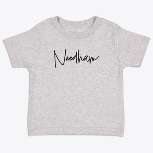 Needham Massachusetts Freestyle Toddler T-Shirt
