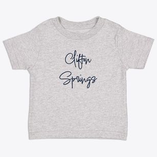 Clifton Springs New York Freestyle Toddler T-Shirt