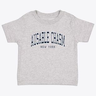 Ausable Chasm New York Traditional Toddler T-Shirt