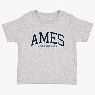 Ames New Hampshire Traditional Toddler T-Shirt