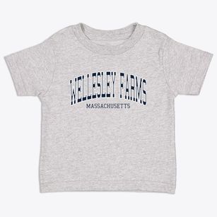 Wellesley Farms Massachusetts Traditional Toddler T-Shirt
