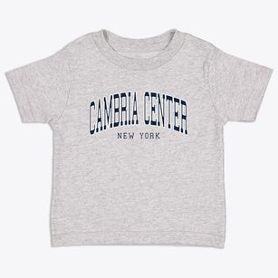 Cambria Center New York Traditional Toddler T-Shirt