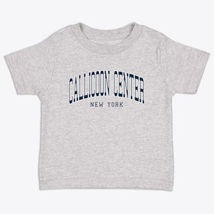 Callicoon Center New York Traditional Toddler T-Shirt