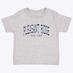 Pleasant Ridge New York Traditional Toddler T-Shirt