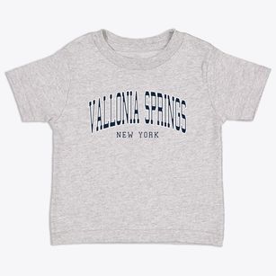 Vallonia Springs New York Traditional Toddler T-Shirt