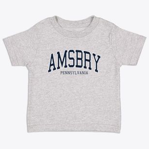 Amsbry Pennsylvania Traditional Toddler T-Shirt