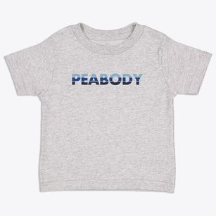 Peabody Massachusetts Cool Breeze Toddler T-Shirt