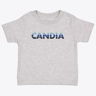 Candia New Hampshire Cool Breeze Toddler T-Shirt