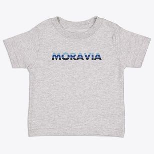 Moravia New York Cool Breeze Toddler T-Shirt