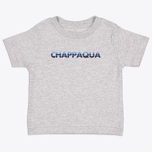 Chappaqua New York Cool Breeze Toddler T-Shirt
