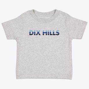 Dix Hills New York Cool Breeze Toddler T-Shirt