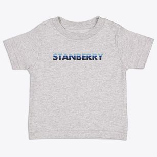 Stanberry Missouri Cool Breeze Toddler T-Shirt