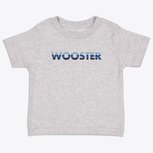 Wooster Ohio Cool Breeze Toddler T-Shirt