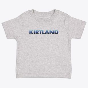 Kirtland New Mexico Cool Breeze Toddler T-Shirt