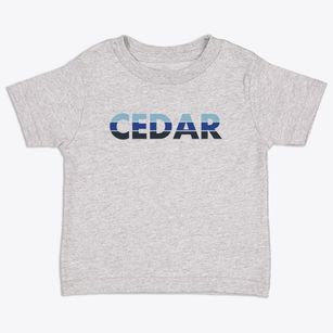 Cedar Michigan Cool Breeze Toddler T-Shirt