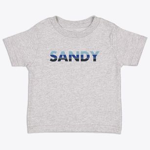 Sandy Oregon Cool Breeze Toddler T-Shirt