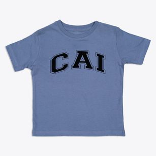Christian Academy Of Indiana Varsity Arch Toddler T-Shirt