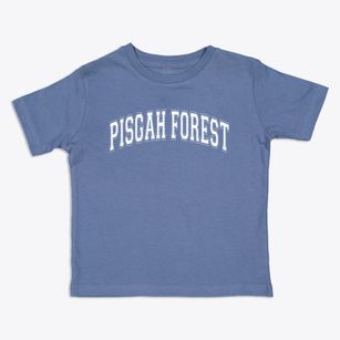 Pisgah Forest Elementary School Varsity Arch Toddler T-Shirt