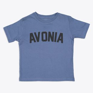 Avonia Pennsylvania Classic Curve Toddler T-Shirt
