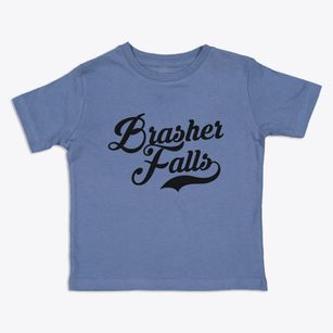 Brasher Falls New York Vintage Team Toddler T-Shirt
