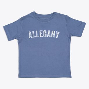 Allegany New York Timeless Retro Toddler T-Shirt