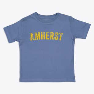 Amherst New York Timeless Retro Toddler T-Shirt