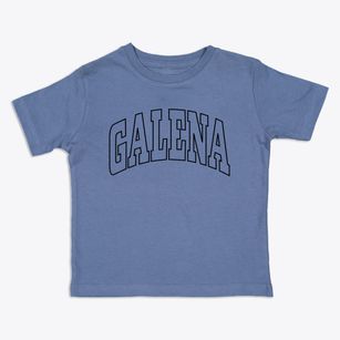Galena Ohio Trendy Block Toddler T-Shirt