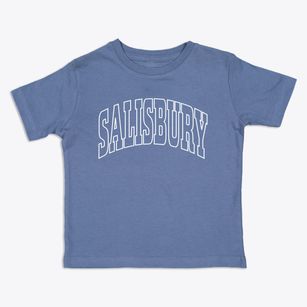 Salisbury North Carolina Trendy Block Toddler T-Shirt