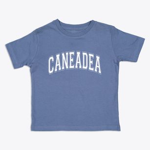 Caneadea New York Varsity Toddler T-Shirt