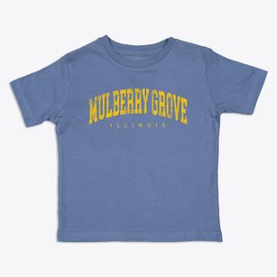 Mulberry Grove Illinois Urban Vibe Toddler T-Shirt