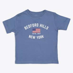 Bedford Hills New York Patriot Toddler T-Shirt
