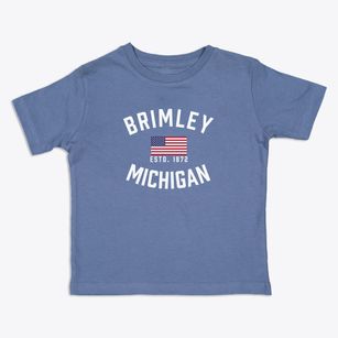 Brimley Michigan Patriot Toddler T-Shirt