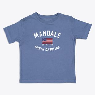 Mandale North Carolina Patriot Toddler T-Shirt