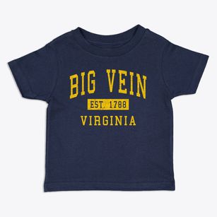 Big Vein Virginia Classic Established Toddler T-Shirt