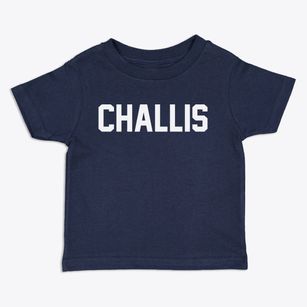 Challis Idaho Classic Block Toddler T-Shirt